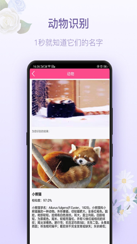 拍照识花神器手机版