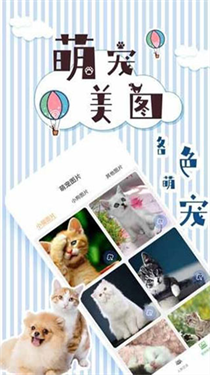 人猫翻译交流器最新版