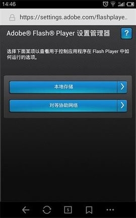 Flash Player Settings标准版
