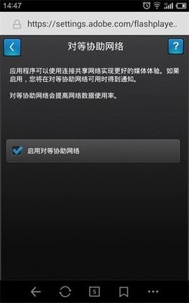Flash Player Settings标准版